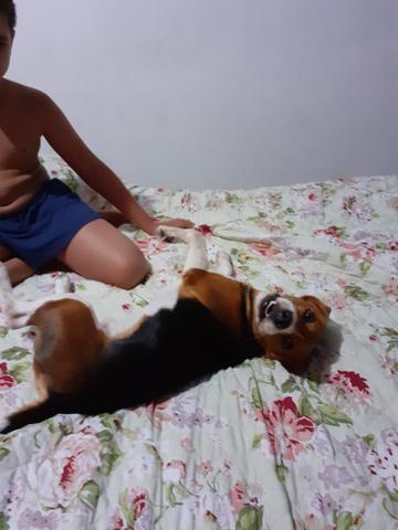 Procuro namorada - Foto 2