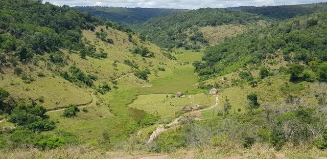 Fazenda 590,48 hectares no Leste de Minas na Região da sudene