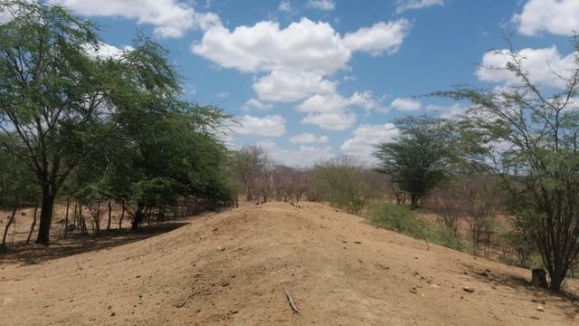 Excelente propriedade de 828 hectares, em Santa Cruz do Capibaribe - Foto 3