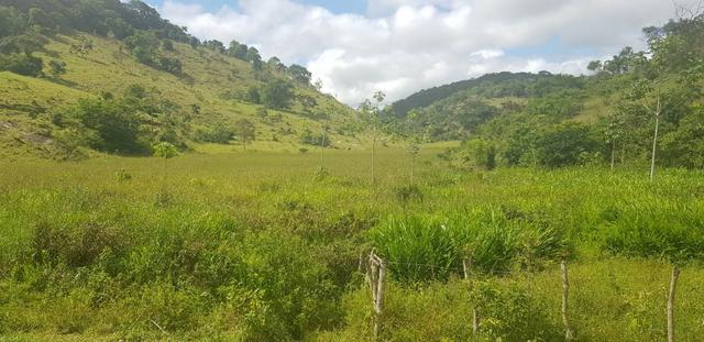 Fazenda 590,48 hectares no Leste de Minas na Região da sudene - Foto 11