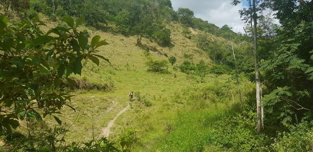 Fazenda 590,48 hectares no Leste de Minas na Região da sudene - Foto 13