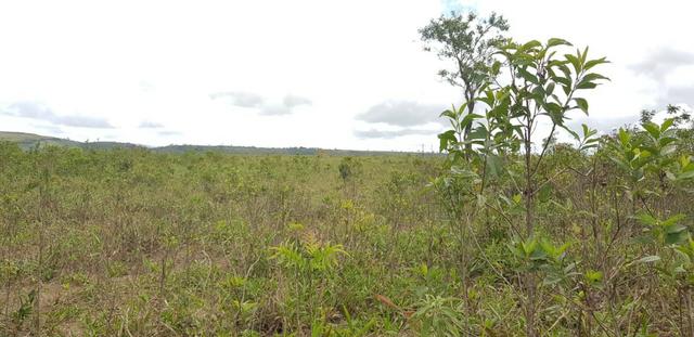 Fazenda 590,48 hectares no Leste de Minas na Região da sudene - Foto 17