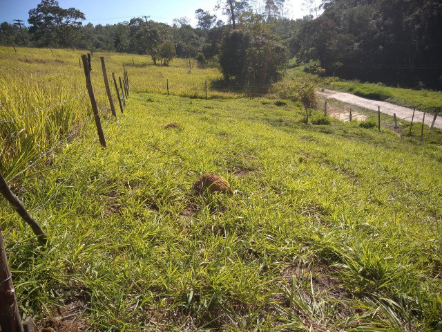 A Roça Te Espera - Foto 4