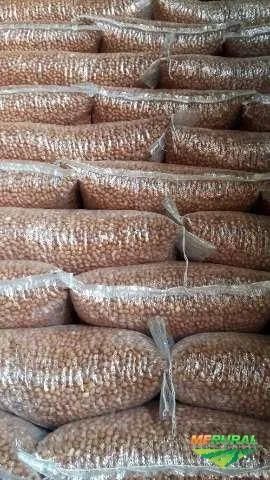 Amendoim cru com casca saco com 10 kg - Foto 2