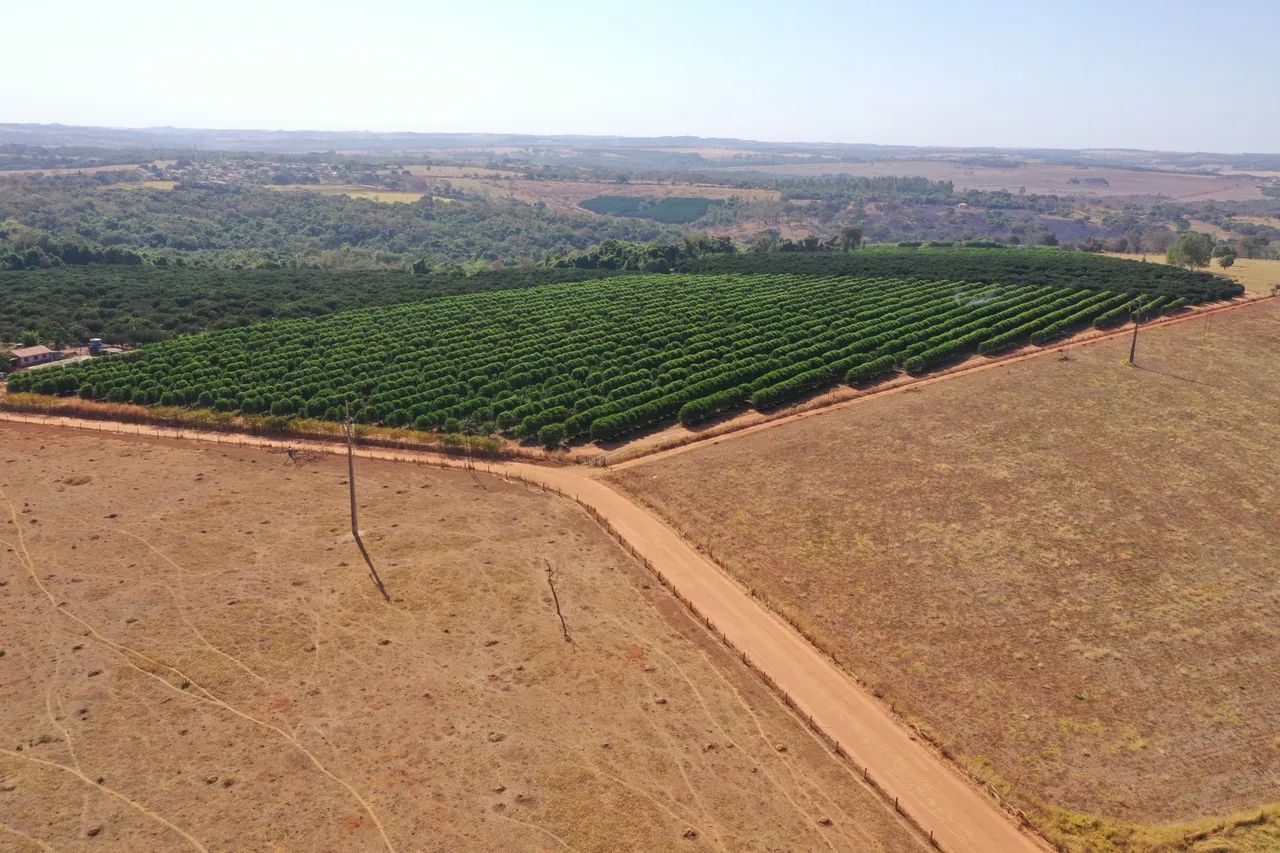 Fazenda a 30 km de Goiânia 23.78 Alqueires  - Foto 2