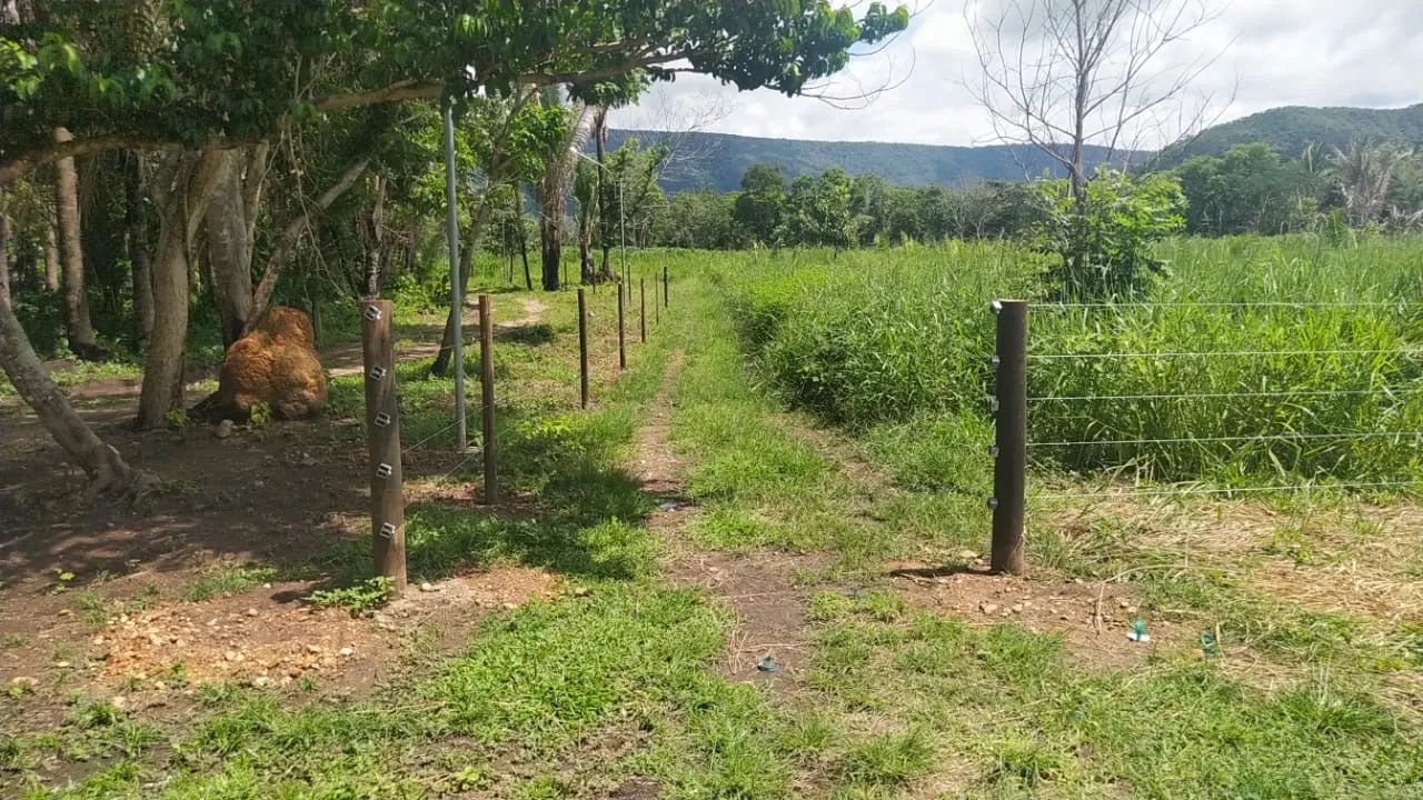 SÍTIO RANCHO PARAÍSO COM BEIRA DE RIO ARICÁ - Foto 15