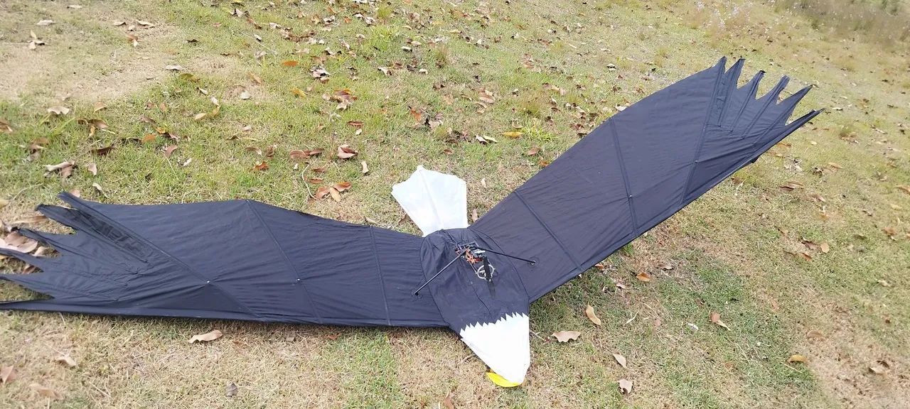  Água Premier RC  - Foto 3