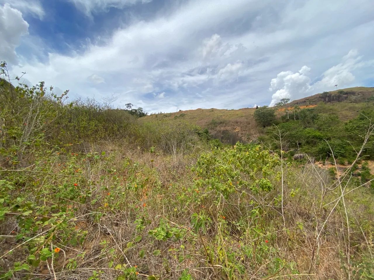 Terreno com com 2 tanques de peixe - Foto 6