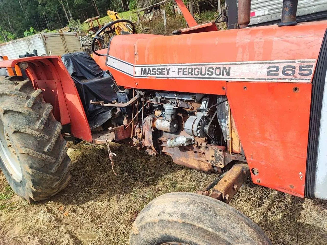 Trator Massey Ferguson 265 - Ótimo Estado - Foto 3