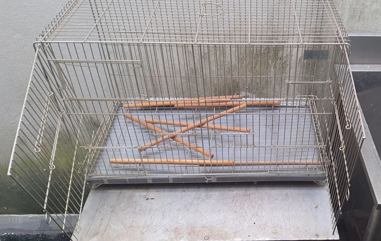 GAIOLAS DE ARAME - Foto 2