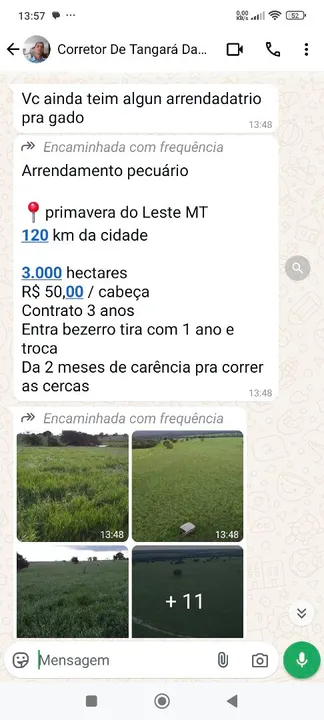 Fazenda de Arrendamento pra bezerros 3 mil hect reg. Primavera do leste MT.