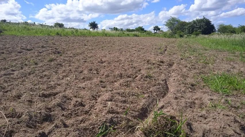 Tratorito Buffalo 10 HP - Diesel Com Carroça - Foto 5