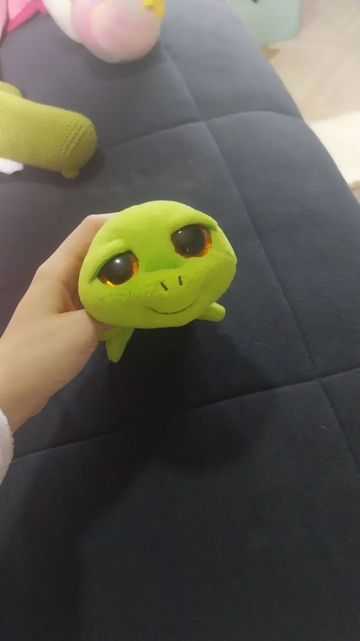 beanie boo tartaruga 