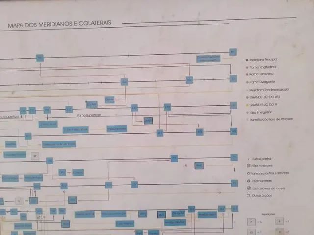 Mapa Acupuntura - Todos os meridianos, Eixos, Ramificações e Ramos - Foto 2