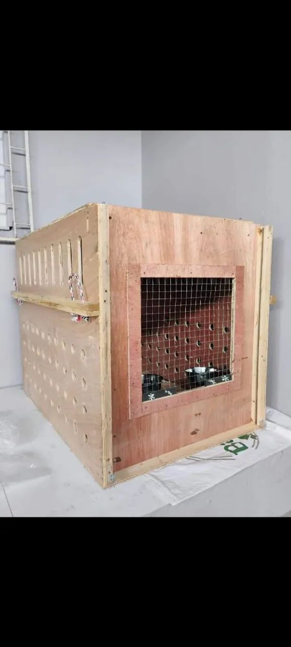 Caixa de transporte aéreo CR82 IATA 