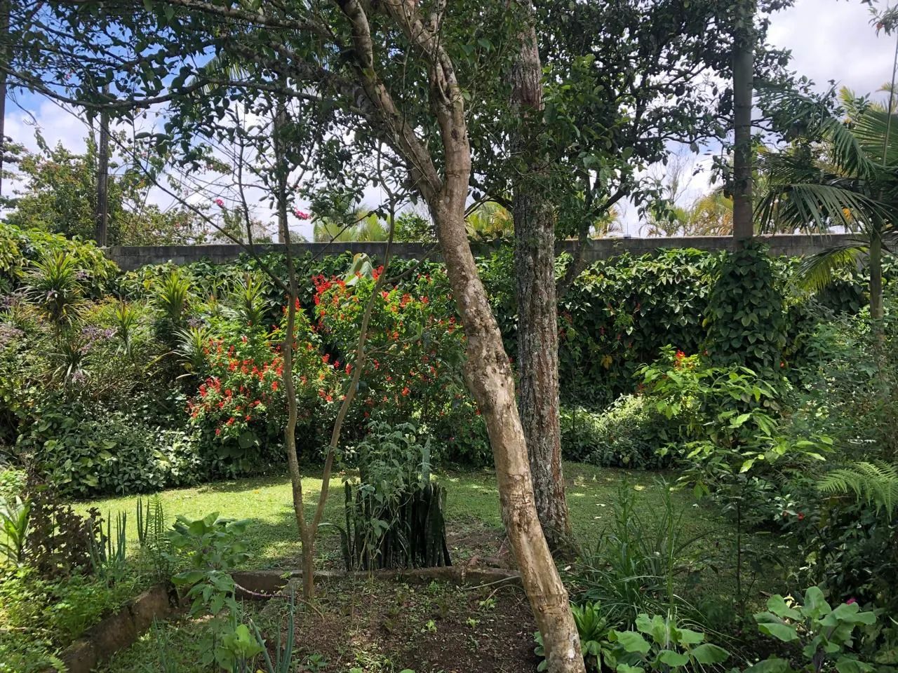 Foto - Embu-Guaçu - Granjinha