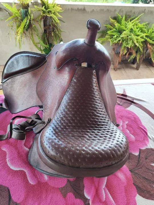 Sela americana tradicional  - Foto 2