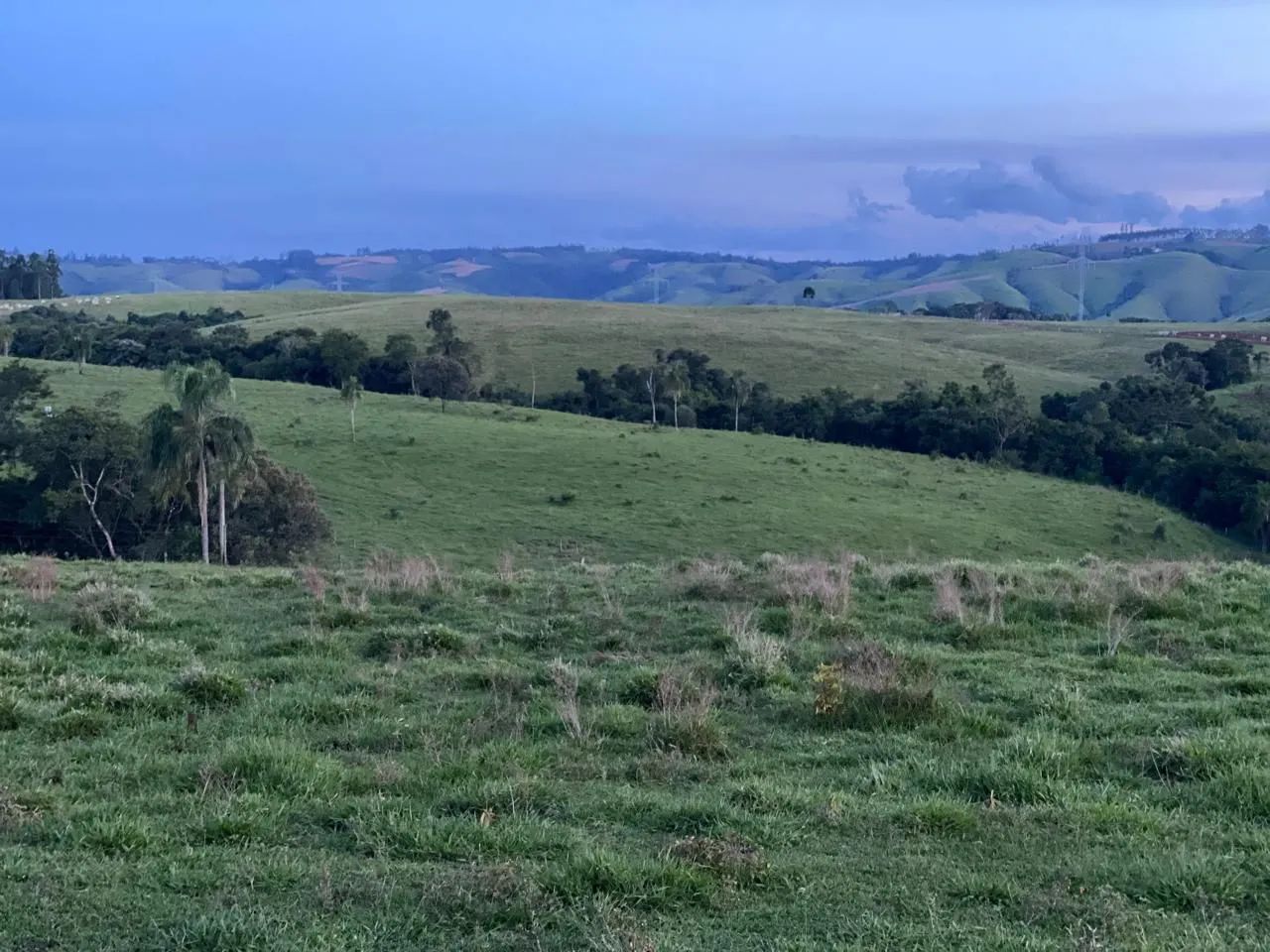 Fazenda  - Foto 4
