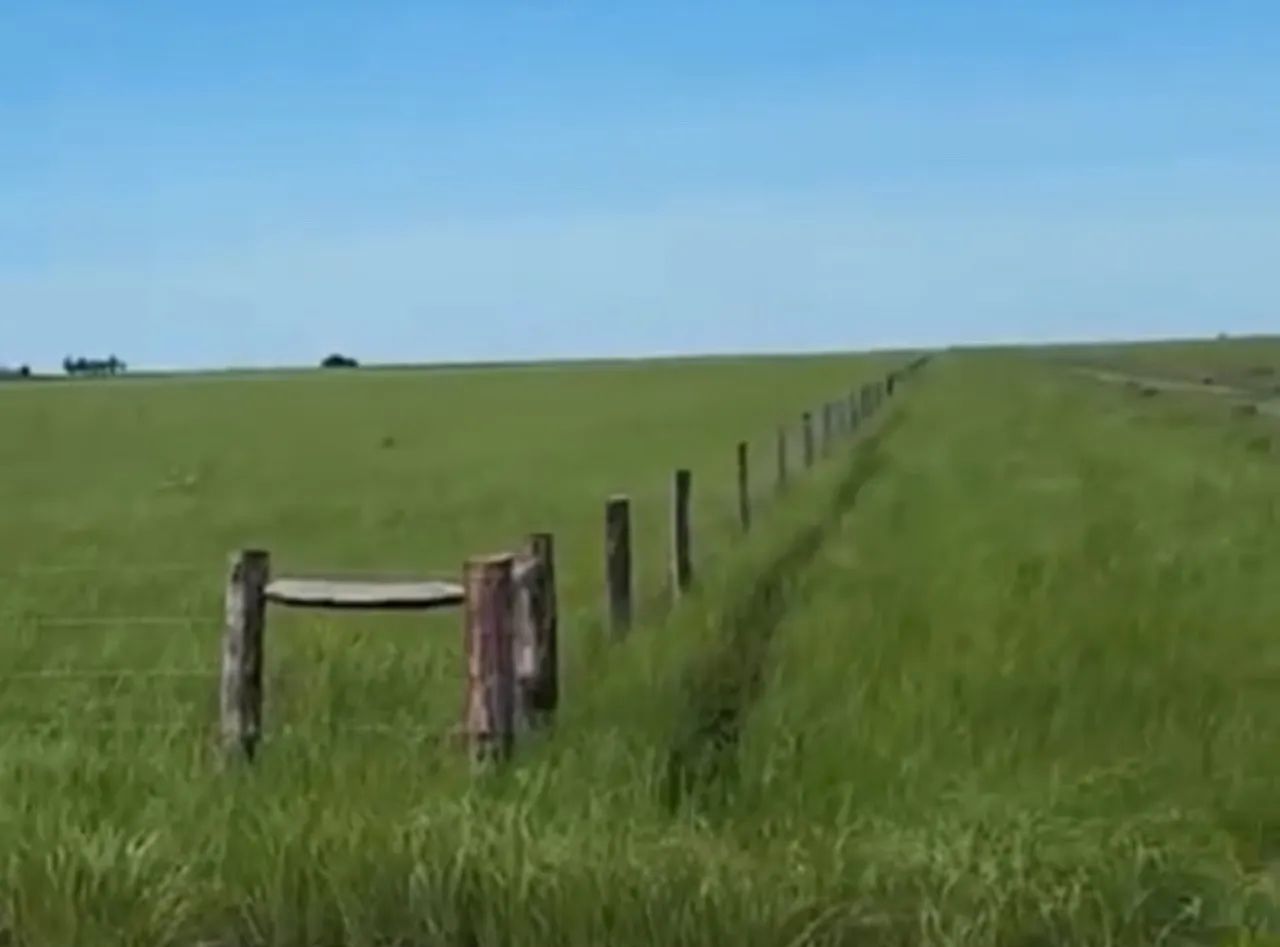 Fazenda Corumbá 2002 hectares  - Foto 5