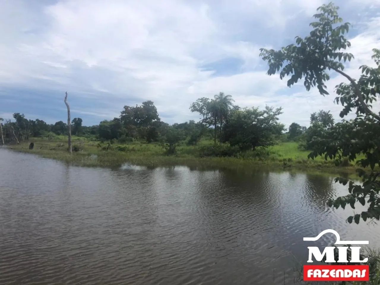 Fazenda em Talismã-TO 82 Alq. (397 Há). Boa p/ Soja - Foto 2