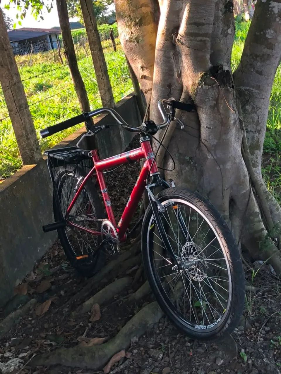Montadinha pra vender  - Foto 2