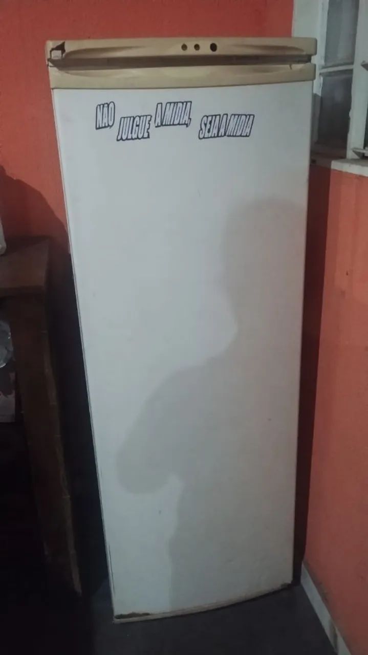 Vendo geladeira 