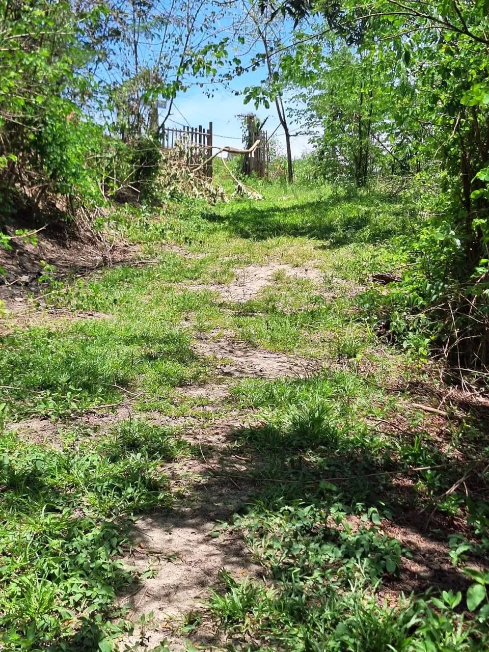 sítio com 14.000m² - Foto 2