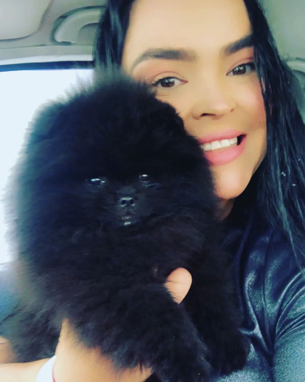 Lulu da Pomerania anões ursinhos  - Foto 3