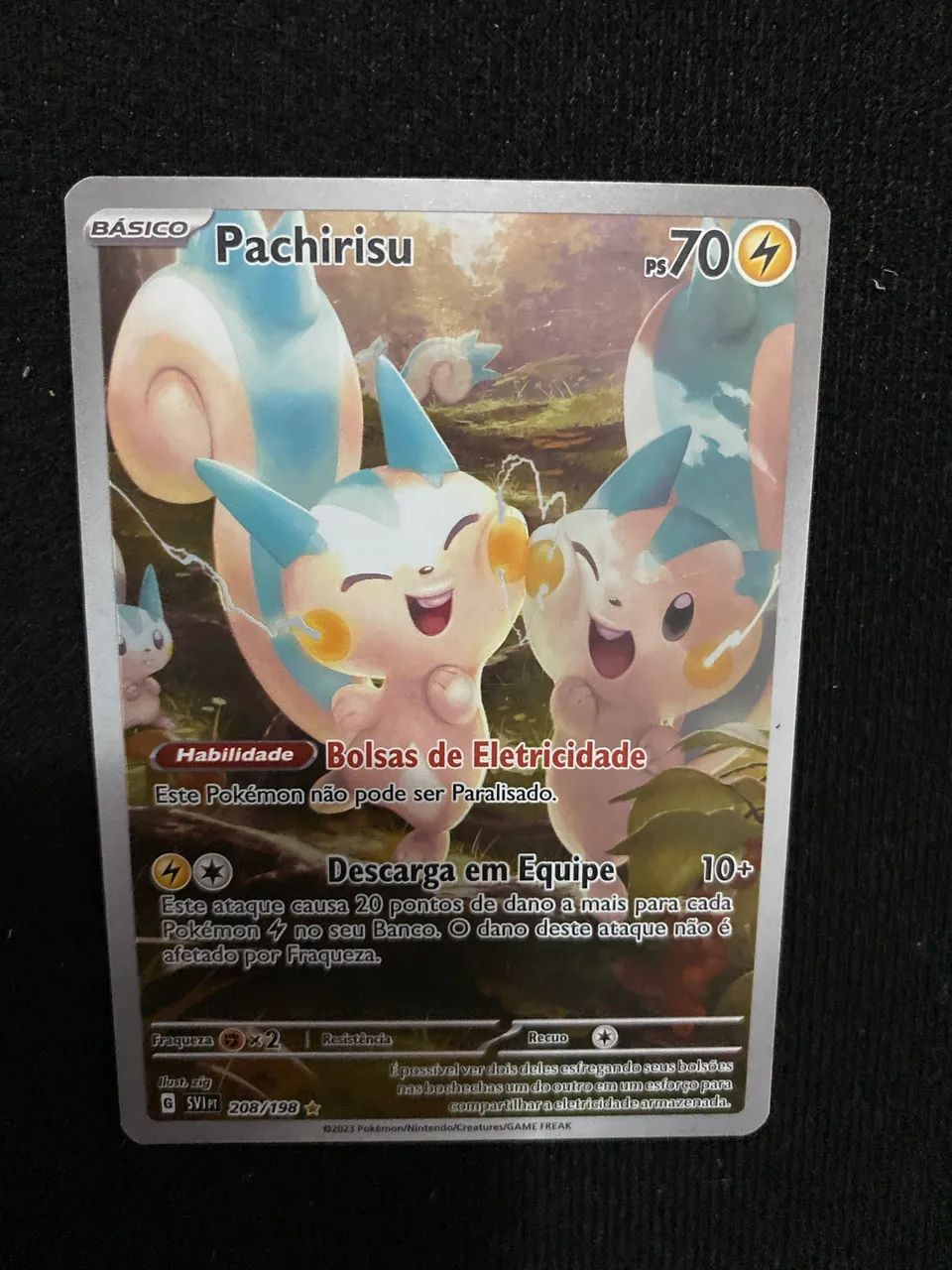 Carta Pokémon Pachirisu (208/198)