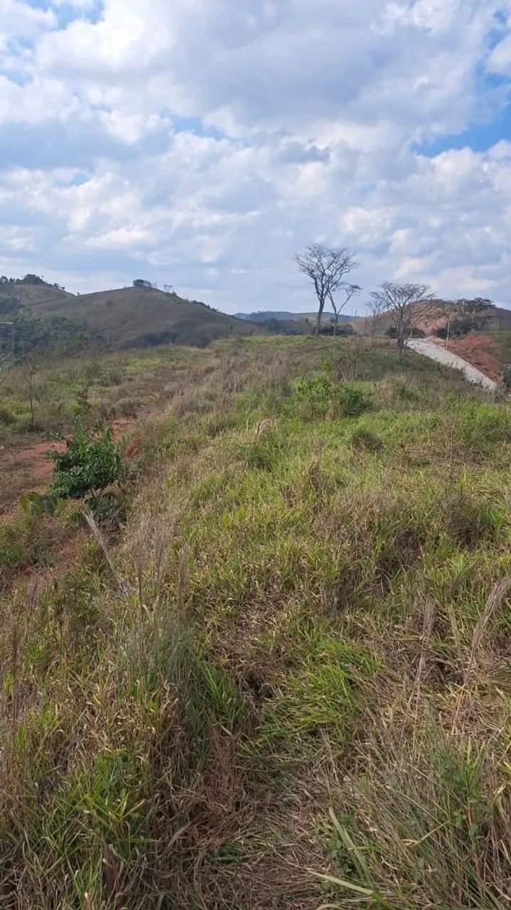 Lote / Terreno - Igrejinha - Foto 5