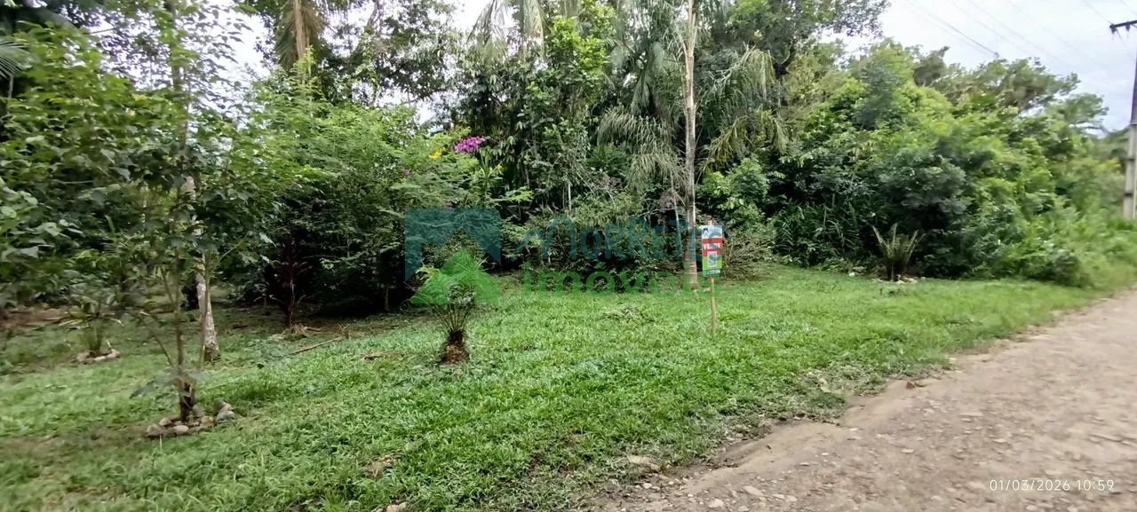 Lotes a Venda em Morretes - Foto 5