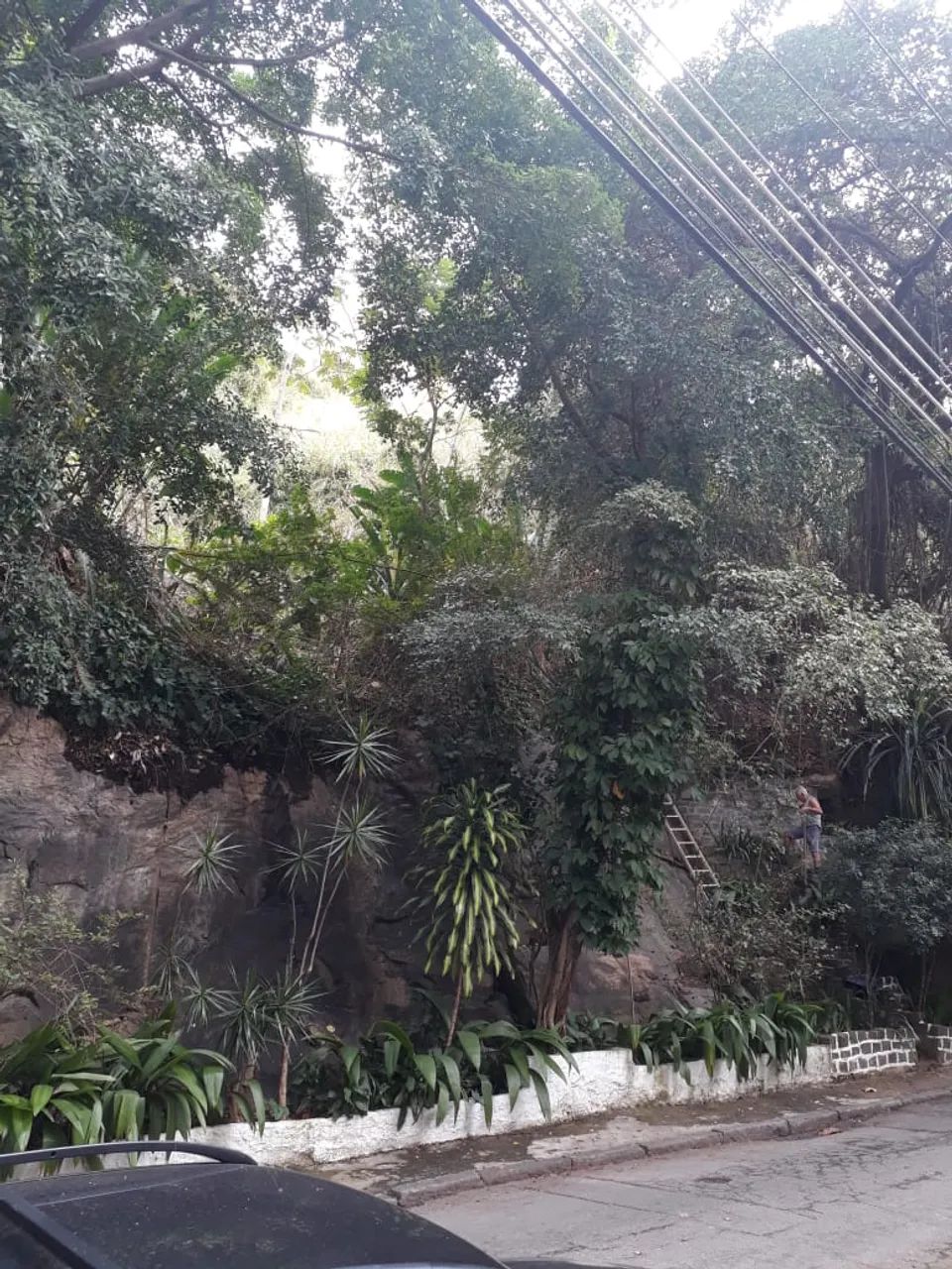 Lote 13 e 14/Terreno para venda com 1500 metros quadrados em Santa Teresa - Rio de Janeiro - Foto 3