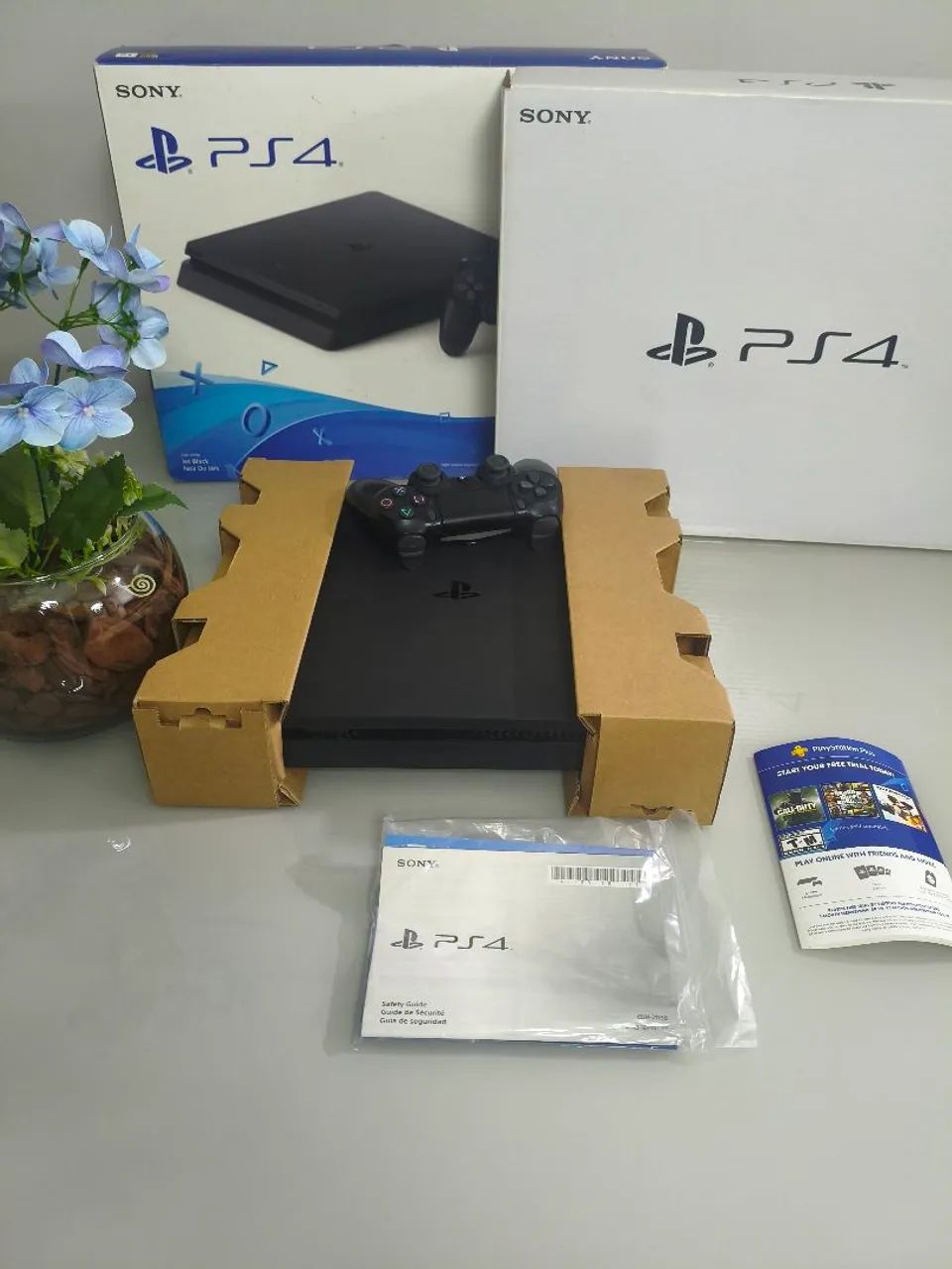 PS4 Desbloqueado!!