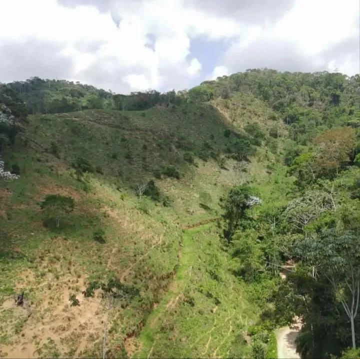 Terreno Parajú  - Foto 4
