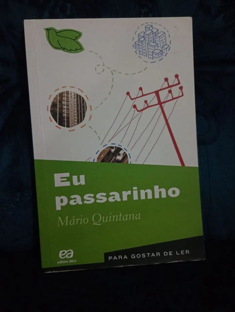 Livro: Eu passarinho 