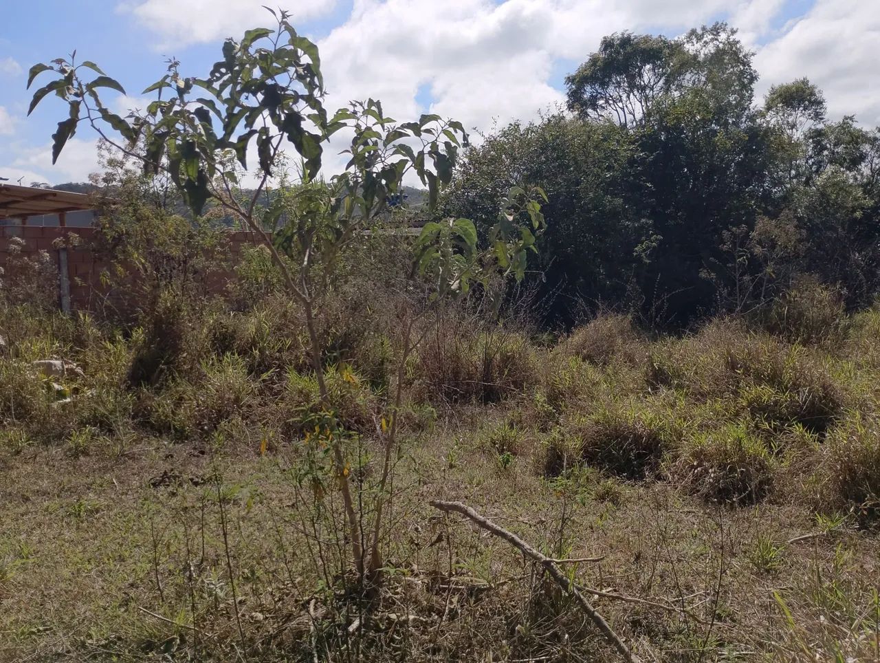 Excelente lote plano  - Foto 3