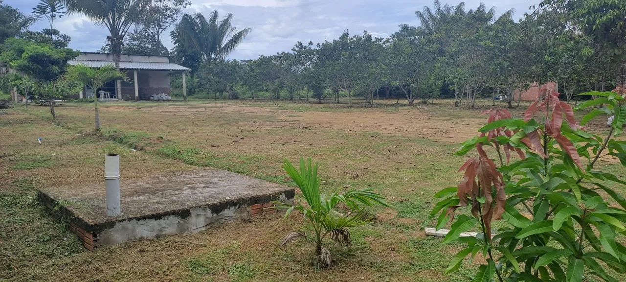 TERRENO PARA CONSTRUIR SUA CHÁCARA.  - Foto 3