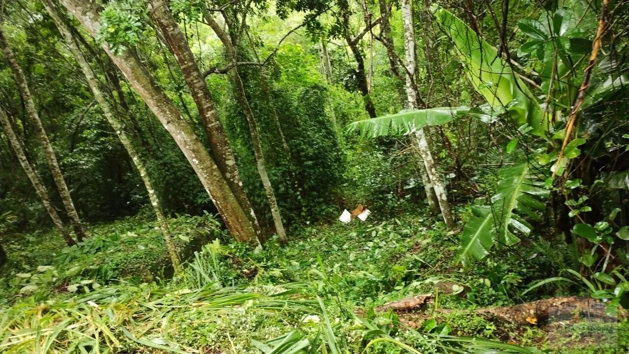 Terreno avenda bairro Jurere Florianópolis SC.