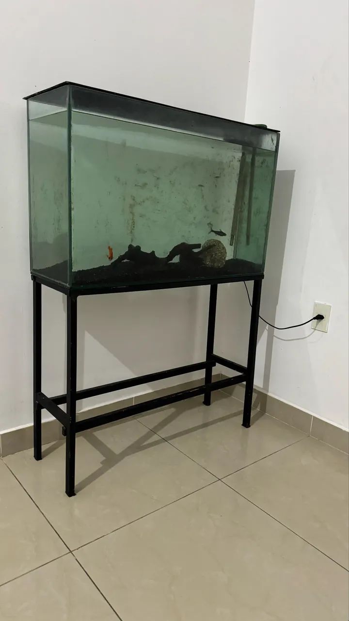Aquário 