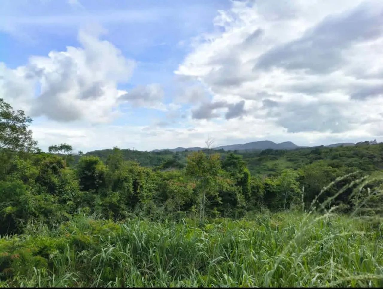 Terreno e lote na serra de mulungu 