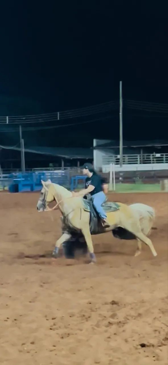 Cavalo QM Três tambores  - Foto 2