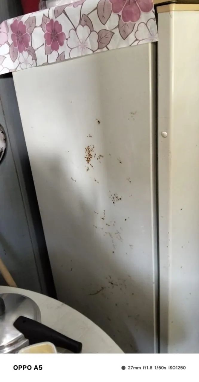 Freezer  - Foto 3