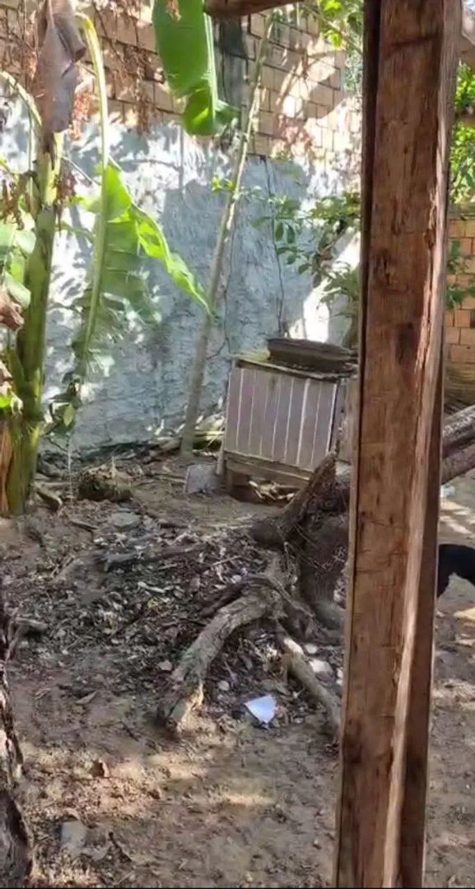 Vende se uma casa em Manacapuru  - Foto 3