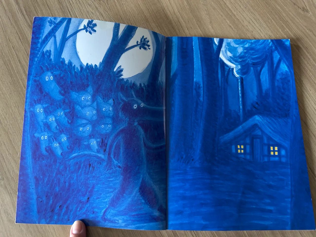 Livro o Lobo sentimental - Foto 3