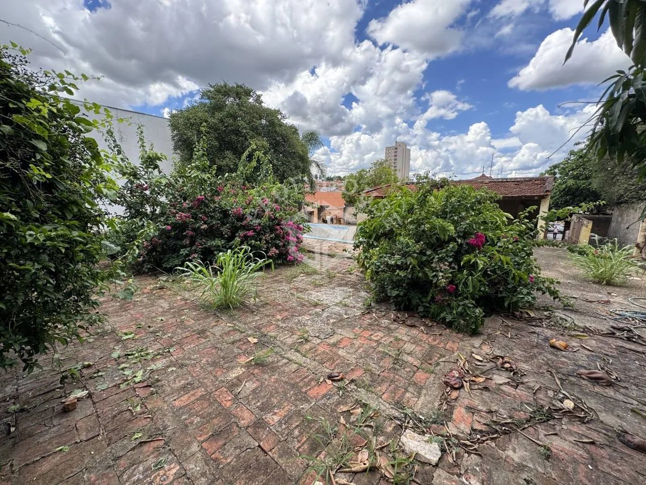 TERRENO À VENDA NO CENTRO DE LIMEIRA-SP - Foto 4