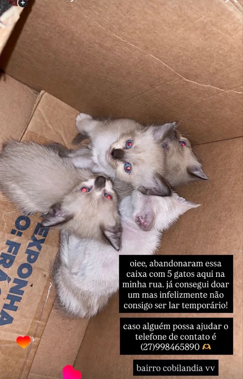 Doação