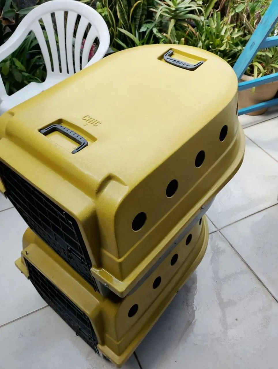  transporte para pets - Foto 3
