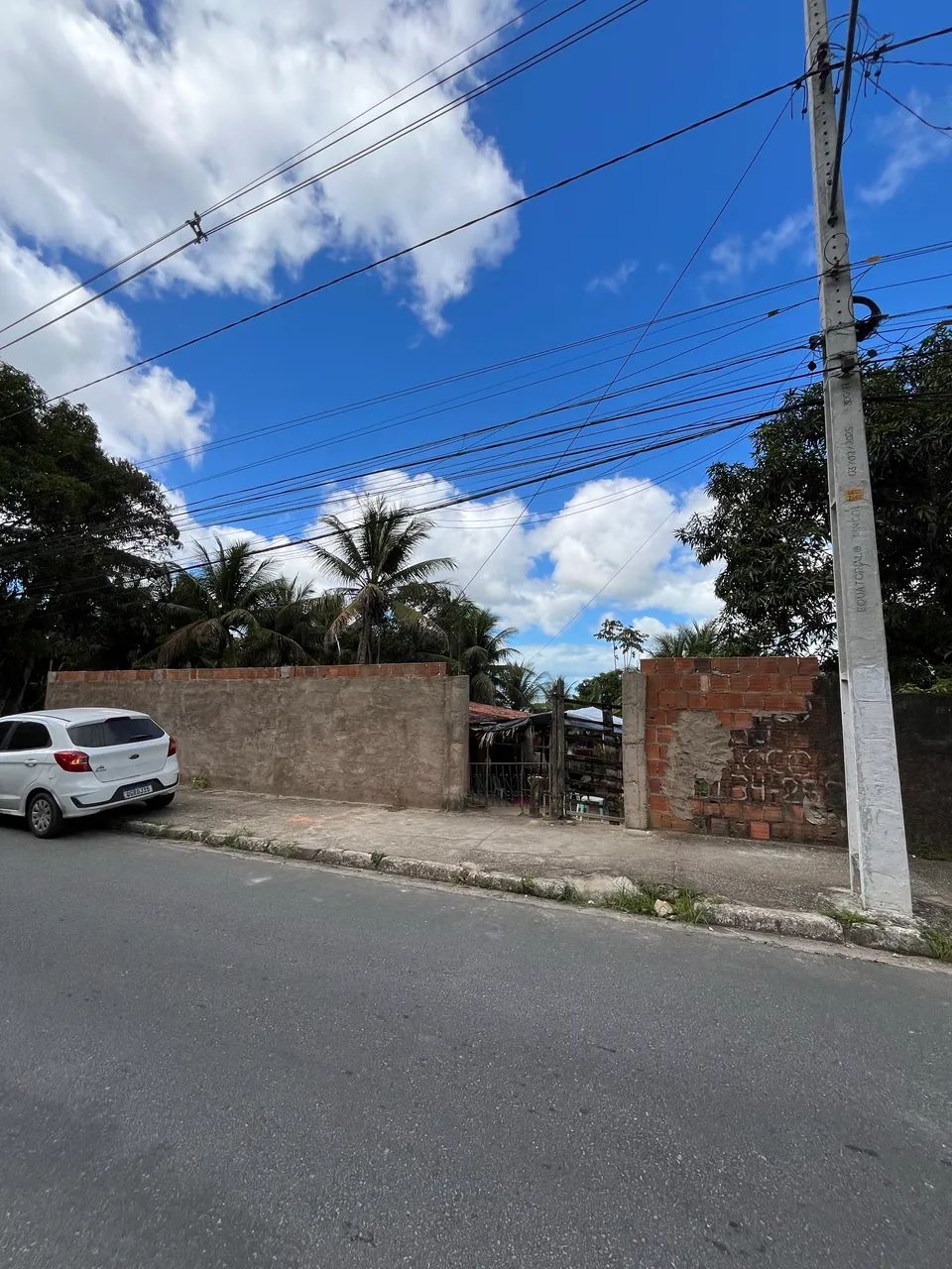VENDO SÍTIO EM FERNÃO VELHO - Foto 3