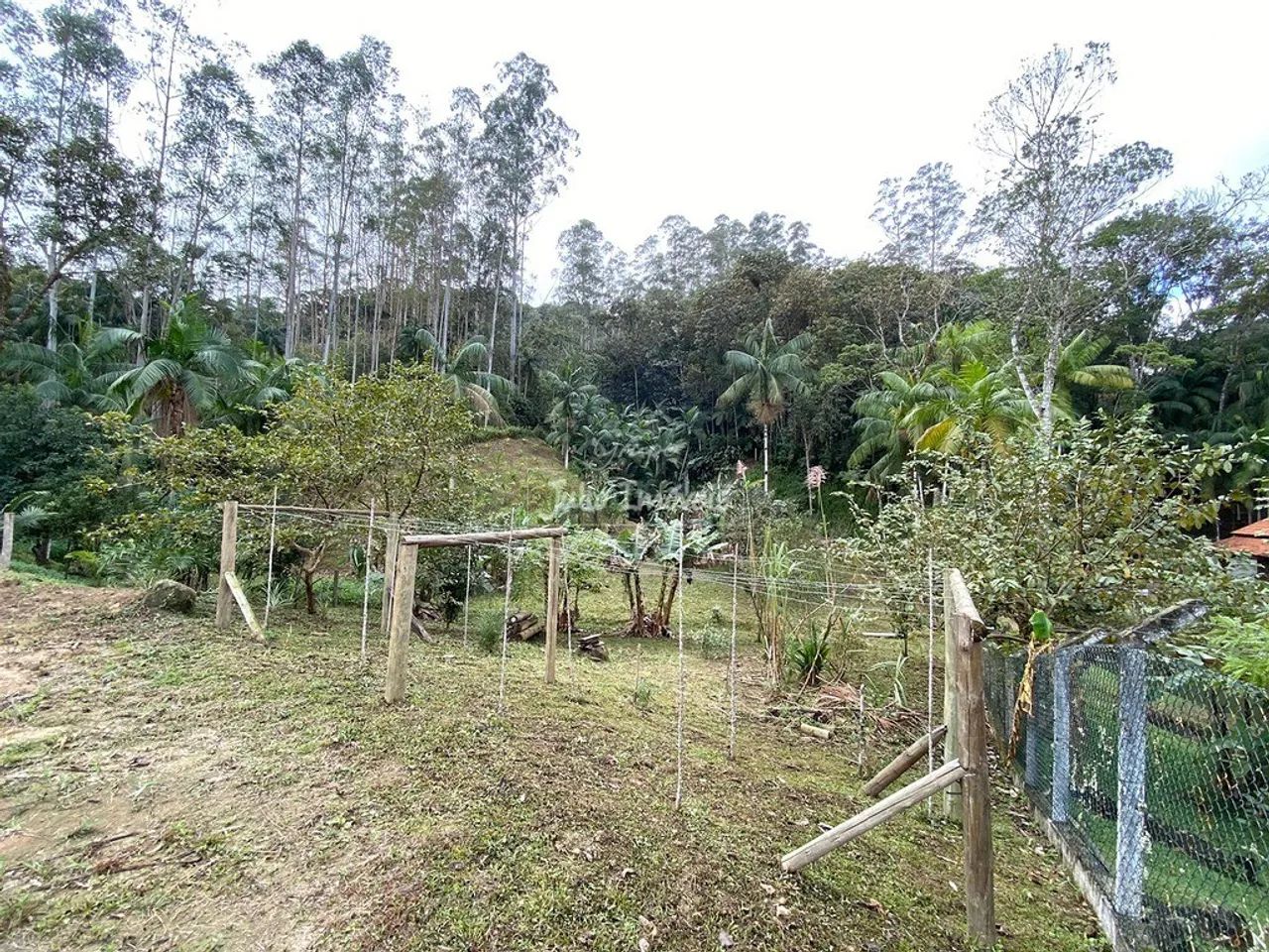 Terreno na Lorena Guabiruba - Foto 4