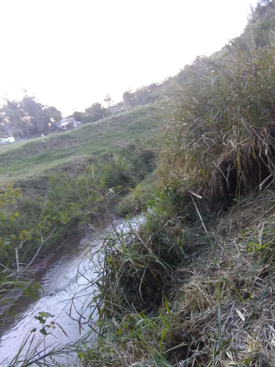 Chácara em Socorro  - Foto 4